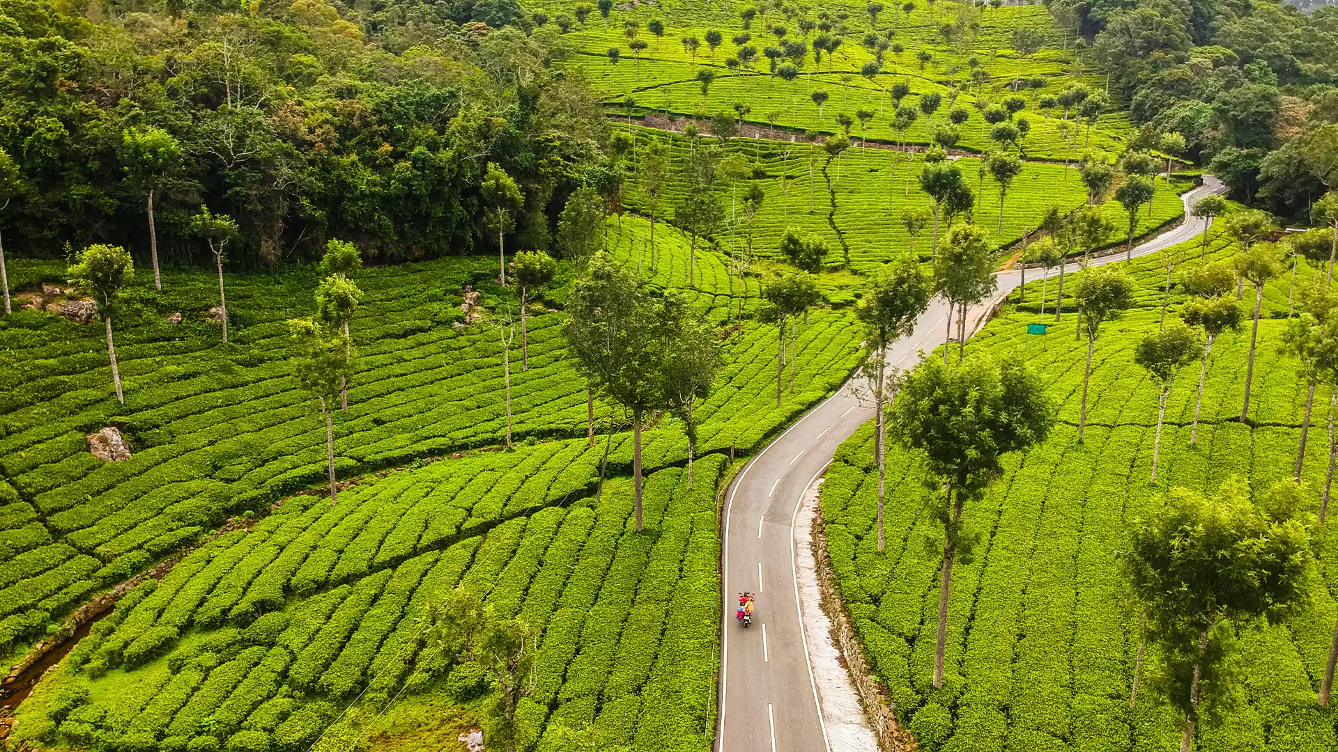 10 Best Places to Visit in South India in May